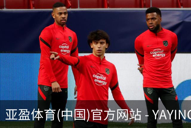 亚盈体育(中国)官方网站 - YAYING SPORTS公司简介